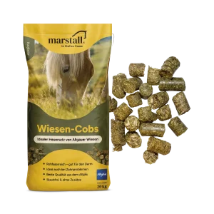 Marstall - Wiesen-Cobs