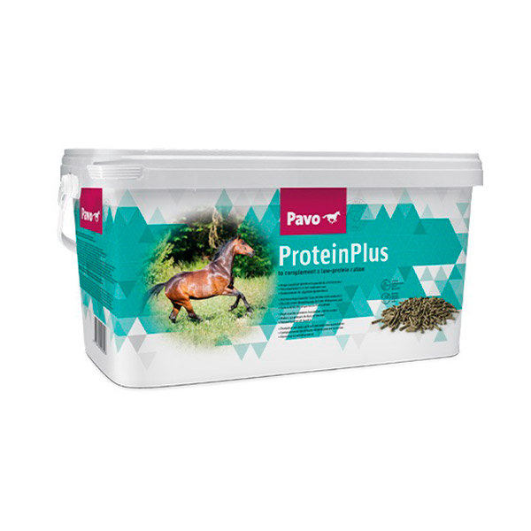 Pavo - ProteinPlus 7kg